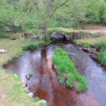Pont médiéval du Puy-Chalard
