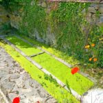 Bassin rue des Gardettes dans le bourg