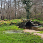 Pont médiéval du Chalard